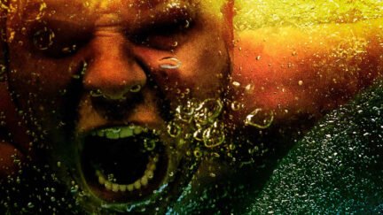 Animal Kingdom Season 7 Release Date, News